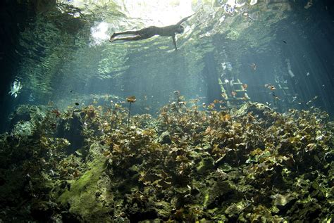 Go Beyond the Surface: Snorkeling Adventure in Mexico's Enchanting Cenotes and Lagoons
